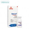 AMCEF