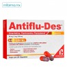 Antiflu-Des