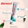 Barmicil