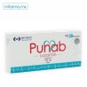 Punab